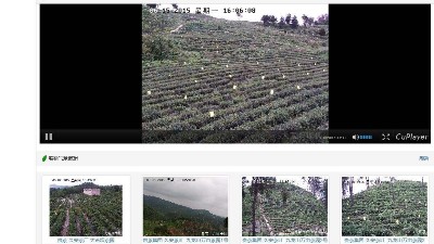 安裝養殖場監控系統，智能調控運營成本